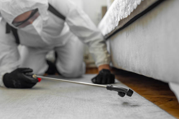Professional Mosquito Control technician working in Brazos County County, TX